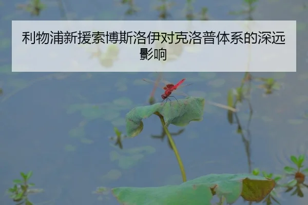 利物浦新援索博斯洛伊对克洛普体系的深远影响